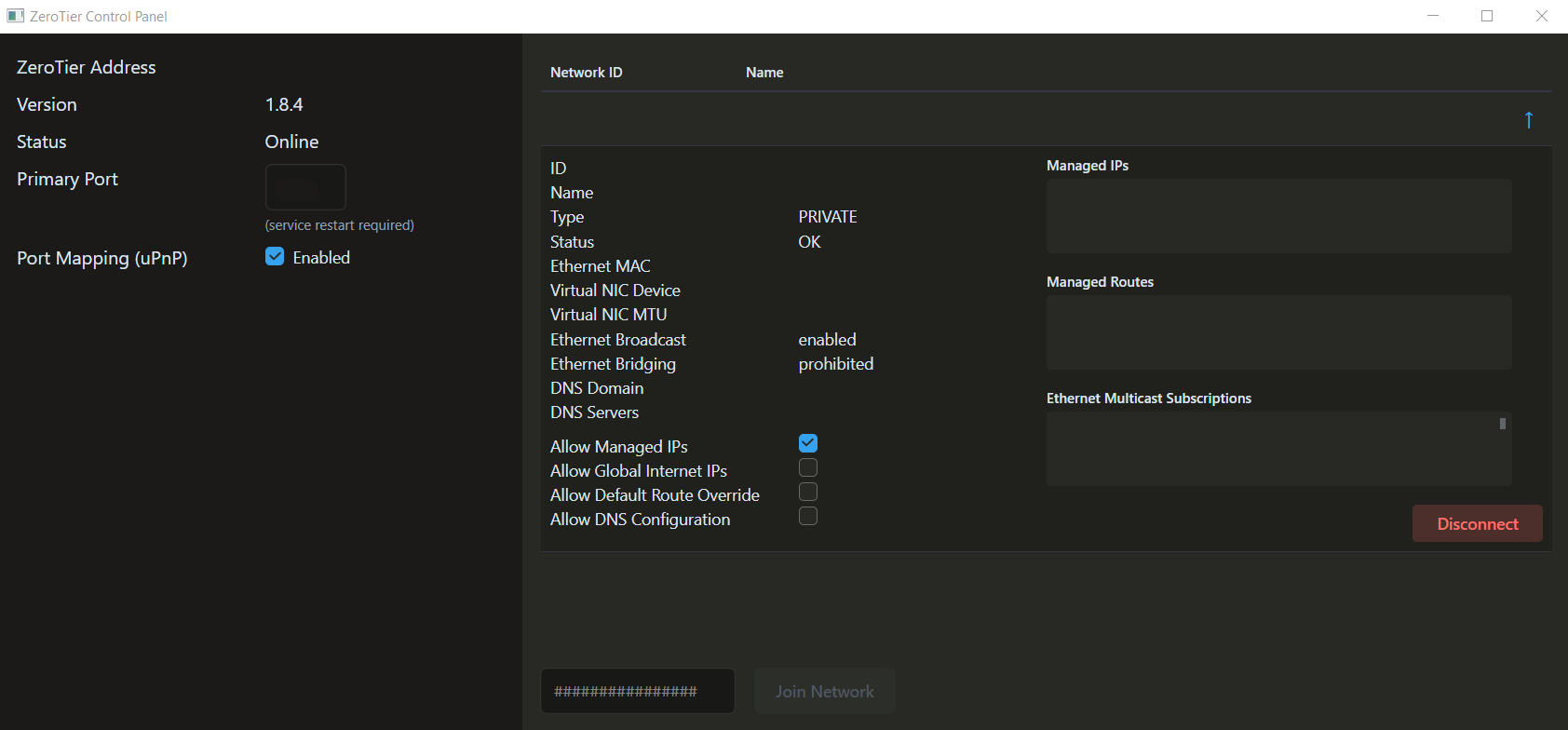 Windows ZeroTier Control Panel Network Details